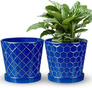 EFISPSS 6 Inch Pots for Indoor Plants,Ceramic Plant Pots,Planters with Drainage Hole and Saucer, Flower Pots Desktop Office Windowsill Decoration Gift Set of 2 - Sapphire Blue by GreenHaven Gardens