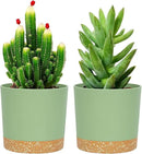 QCQHDU 5 inch Plant Pot, 2 Pack Planters for Indoor Plants with Drainage Holes & Saucer, Outdoor Flower Pots Home Garden Modern Decor by GreenHaven Gardens