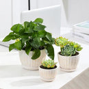 Ceramic Plant Pots with Drainage Holes and Saucers, Round Flower Pots for Indoor Plant, Diameter 3.3/4.3/5.5 Inches Small Flower Planters Set of 3 by CozyNest Decor