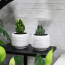 Mini Succulent Planter Set – 3.7 Inch Ceramic Pots with Drainage for Indoor Plants, Small Decorative Flower Pots for Cactus and House Plants, Set of 4 by CozyNest Decor