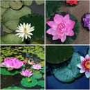 DOITOOL 3 Pcs Artificial Floating Foam Lotus Leaves 15.7 Inch Artificial Water Lily Pads Ornaments for Patio Fish Pond Pool Aquarium Decor, Green by GreenHaven Gardens