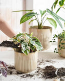 LE TAUCI Ceramic Planters, 8.3+6.9+5.7 Inch Plant Pots for Indoor Plants, Set of 3 Flower Pots with Drainage Holes, Round Planters Pot for Indoor House Plants, Reactive Glaze Cloud Cream by GreenHaven Gardens