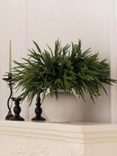 MISSPIN 12 Pcs 21.5 Inches Christmas Norfolk Pine Branches, Norfolk Pine Artificial Christmas Branches DIY Crafts Faux Pine Branches for Xmas Indoor Outdoor Home Decor by CozyNest Decor