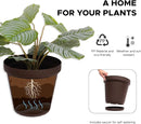 Elly Décor Set of 2 10 inch Round Saucer Modern Self Watering Planter Plates, Pots with Rattan-Like Finish, 10x10 chococlate Brown by CozyNest Decor