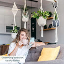 Nook Theory 4-Pack Macrame Plant Hanger - with 8 Ceiling Hooks - Hanging Planter Indoor Outdoor - Hanging Plant Holder - Decorative Bohemian Plant Hangers - Hanging Plants (Cream) by GreenHaven Gardens