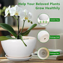 Ceramic Planter - 9 Inch Plant Pot Indoor with Drainage Hole and Saucer for Outdoor Plants Mid-Century Round Planter Modern Flower Pot for House Garden White by GreenHaven Gardens