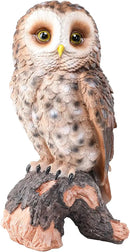 WONDER GARDEN Owl Statue Decor, Outdoor Resin Owl Figurine Sculpture for Home Porch Patio Lawn Yard Decorations or Housewarming Gifts by CozyNest Decor