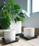Square Plant Saucer 12 Inch 2 Pack 6 8 10 12 14 16 18 20 Inch, Plant Trays for Pots Heavy Duty Plastic Plant Saucers for Indoors Outdoors, Flower Pot No Holes Plant Drip Trays by GreenHaven Gardens