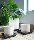 Square Plant Saucer 12 Inch 5 Pack 8 10 12 14 16 18 20 Inch, Plant Trays for Pots Heavy Duty Plastic Plant Saucers for Indoors Outdoors, Flower Pot No Holes Plant Drip Trays by GreenHaven Gardens