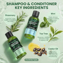 Travel Shampoo Conditioner and Body Wash Gift Set Trio, Travel Size Hair Care & Body Care for Trip, Outdoor, Camping, Hotel & Gyms, Anti-Dandruff, Nourish, Gentle For Baby, 3.38 Oz Travel Size Bottles by TinyTreasures Baby Boutique