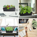 GREANER Rectangle Window Boxes, 6PCS 16x3.8 Inch Black Herb Planters with RemovableTray and Drainage Hole, Succulent Flowers Plastic Pot for Balcony, Office, Windowsill, Garden, Outdoor Decoration Use by GreenHaven Gardens
