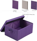 HOONEX Storage Bins with Lids for Organizing, Pack of 2, Storage Boxes with 2 Carry Handles and Sturdy Heavy Cardboard, 16.5" L x 11.8" W x 7.5" H for Shoes, Books, Clothes, Nursery, Dark Purple by TinyTreasures Baby Boutique