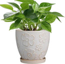 6 Inch Plant Pot with Drainage Hole and Saucer Ceramic Planter for Indoor Plant Flower Pot for Orchid Succulents Plants White by GreenHaven Gardens