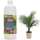 Premium Liquid Palm Tree Plant Fertilizer - 3-1-2 Concentrate for Indoor Plants and Flowers by Gardenera | Organic Plant Food for Palm Trees - 32oz by GreenHaven Gardens