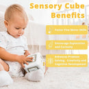 Busy Cube Toys for 1 Year Old Boy, Montessori Toys for 1+ Year Old, Travel Sensory Toys for Toddlers 1-3, Learning Fine Motor Skills| 1st Birthday Gifts Boy 9 12 Months + by TinyTreasures Baby Boutique