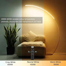 NUÜR Arc Floor Lamp, 67" Tall Gold LED Modern Standing Floor Lamp with Remote Control, Arched Bright Floor Lamps for Living Room Bedroom Office Home by CozyNest Decor