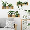 Green Plant Wall Decals 3D Bonsai Tropical Plant Wall Sticker Creative Vinyl Peel and Stick Removable Wall Art Decor for Living Room Bedroom Home Office (Tropical Plant 01) by TinyTreasures Baby Boutique
