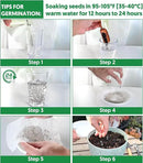 12 Varieties of Seasoning Seeds for Planting, Family Culinary Spice Herb & Veggie Seeds Packet, Basil, Rosemary, Thyme, Cilantro, Pepper, Mint, Non-GMO, Heirloom, for Home Garden Indoor Outdoor by GreenHaven Gardens