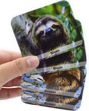 Menique Wild Animals Memory Matching Game – 80 Cards (40 Pairs) with Real Photos – Includes Educational Booklet with Animal Facts – Fun & Cognitive Game for Kids and Adults by TinyTreasures Baby Boutique