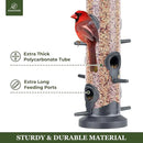 Kingsyard 2 Pack Tube Feeders with 6 Feeding Ports for Outdoors Hanging, Premium Hard Plastic Weatherproof & Steel Hanger, Attracting for Wild Birds (Black) by CozyNest Decor