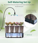 Seed Starter Tray, 60-Cells Seedling Starter Trays with Grow Light, Self-Watering Seed Germination Kit for Indoor Gardening Seed Starting (5 Pack, Clear Base) by GreenHaven Gardens