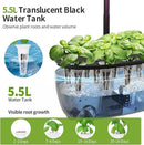 12 Pods Hydroponics Growing System Indoor Herb Garden with LED Growth Lamp Smart Water Pump Plant Germination Kit (No Seeds) Home Kitchen, Gift Ideas for Women Men by GreenHaven Gardens