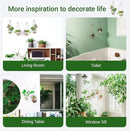 Wall Hanging Glass Planter Air Planter Terrarium Vase Propagation Stations for Hydroponic Plants, Succulent Moss Tillandsias Air Plants Globe,Home Office Garden Decor, Set of 2 by GreenHaven Gardens