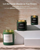 M&SENSE Celestial Cypress - Cedar & Spice Soy Jar Candles, Cedarwood Cardamom Large Winter Scented Candles 19.4oz 110 Hour Long Lasting Burn, Non Toxic Natural Warm Woody Scent Gifts for Men Women by CozyNest Decor
