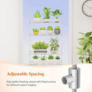 Lifewit 2-Tier Window Plant Shelves 15 inch, Acrylic Adjustable Hanging Floating Shelf, Window Sill Extender for Indoor Succulent Plants, Micro Greens, Seed Starter Pots, Herb Planters by GreenHaven Gardens