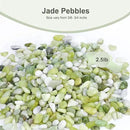 2.5 lbs Jade Pebbles for Indoor Plants, Decorative Pebbles for Bamboo, Vase, 3/8" Plant Gravel for Pots Indoor, Highly Polished Small River Rocks by GreenHaven Gardens
