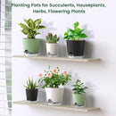 6 inch Self Watering Pots for Indoor Outdoor Plants, 6 Pack Flower Plant Pots with Drainage Holes and Clear Reservoirs, Visible Water Level, Plastic Planters with Wicking Rope, Green by CozyNest Decor