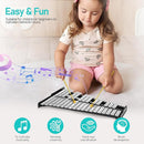32 Note Glockenspiel Xylophone Percussion Kit with Height Adjustable Stand, Drumsticks and Carry Bag by TinyTreasures Baby Boutique