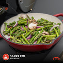 5-Burner Gas Grill with Side Burner, 66,000 BTUs, 753 SQ. In. Cooking Area, 2 Wheel Transport, Propane BBQ Grill with for Outdoor Cooking, Patios, and More - 720-1095 by GreenHaven Gardens