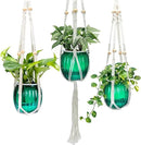 Small Hanging Planters Self Watering 5 Inch, 3 Set Hanging Plant Pot for Indoor Outdoor Plants, Hanging Flower Pots with Drainage Hole & 2 Kinds of Plant Hangers for Garden Home Decor by GreenHaven Gardens