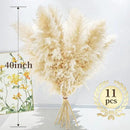 40" 11 PCS Dried Pampas Grass Decor Tall,Large Natural Beige pompas Grass,Tall Pampas Grass for Floor Vase,Wedding,Party,Farmhouse,Boho Home Decor,and Creating a Bohemian Ambiance by CozyNest Decor