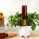 6 Sets Plant Watering Devices Include Terracotta Self Watering Spikes and 26 oz Plastic Bottles Slow Release Vacation Insert Automatic Plant Watered Device by GreenHaven Gardens