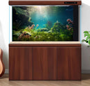 Ocean Floor Fish Tank Background Under The Sea Aquarium Background Underwater Aquatic Plants Sunray Terrarium Backgrounds Deep Sea Rock Tropical Aquarium Fish Tank Backgrounds Decors 48x18in by GreenHaven Gardens