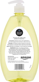 Amazon Basics Tear-Free Baby Hair and Body Wash, 27.1 Fluid Ounce, Lightly Scented, 2-Pack (Previously Solimo) by TinyTreasures Baby Boutique