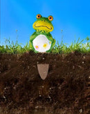 4 Pack Plant Watering Devices, Frog Shape Terracotta Watering Spikes, Vacation Self Watering Planter Insert, Automatic Plant Waterer for Indoor Outdoor Plants (Big Frog) by GreenHaven Gardens