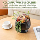 MyGift 10 Inch Modern Artificial Succulent Arrangement Potted in Matte Black Ribbed Ceramic Round Planter, Decorative Plant Pot with Assorted Faux Mini Succulents by CozyNest Decor