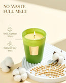 M&SENSE Rosemary Eucalyptus Scented Candle Home Decor, Natural Soy Wax,4.1oz 60 Hours Long Lasting Slow Burning, Aromatherapy Candle for Stress Relief by CozyNest Decor