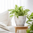 Ceramic Planter 8 Inch Plant Pot with Drainage Hole and Saucer Ceramic Pots for Indoor Plants Outdoor Large Flower Pot for Home Decor White by GreenHaven Gardens