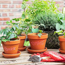 4 Pack Terracotta Watering Spikes, Vacation Self-Watering Planters Devices - Continuous Moisture with Slow Release Watering System - Perfect for Indoor Outdoor Plants (Owl Shape) by GreenHaven Gardens
