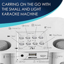 Karaoke Machine for Adults and Kids, Portable Bluetooth Karaoke Speaker with 2 Wireless Microphones for TV, Singing Karaoke for Home Party, Great Gifts for Boys and Girls by TinyTreasures Baby Boutique
