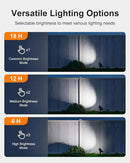 6 Pack Solar Power Spot Lights Outdoor Waterproof LED Dusk to Dawn Landscape Spotlight Lamp for Outside Yard, Tree, Flag, Plants, Garden, Statues, Outside, 3 Modes, 18 Hours Accent Ambient Lighting by GreenHaven Gardens