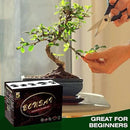 Bonsai Tree Kit with Complete Plant Growing Tools, Grow in Pot Indoor Bonsai Tree Starter Kit, Home Gardening DIY Gift for Adult by GreenHaven Gardens