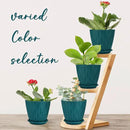 6 inch Plant Pots, 5 Pack Flower Pots Outdoor Indoor, Planters with Drainage Hole and Tray Saucer. by GreenHaven Gardens