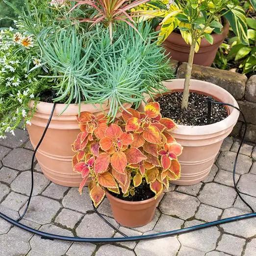 Spring Hill Nurseries - The Dripster! Irrigation Kit - Remove The Worry of Getting The Right Amount of Water to Your Plants!, photo 4 of 4