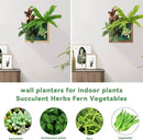 Vertical Wall Planter, 4 Pots Self Watering Living Planters Indoor, Wooden Frame Planter Wall Decoration Home Office (No Screw) by CozyNest Decor