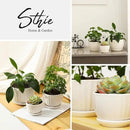 Ceramic Plant Pots with Drainage Holes and Saucers, Round White Flower Pots for Indoor Plant, Diameter 3.3/4.3/5.5 Inches Small Flower Planters Set of 3 by CozyNest Decor